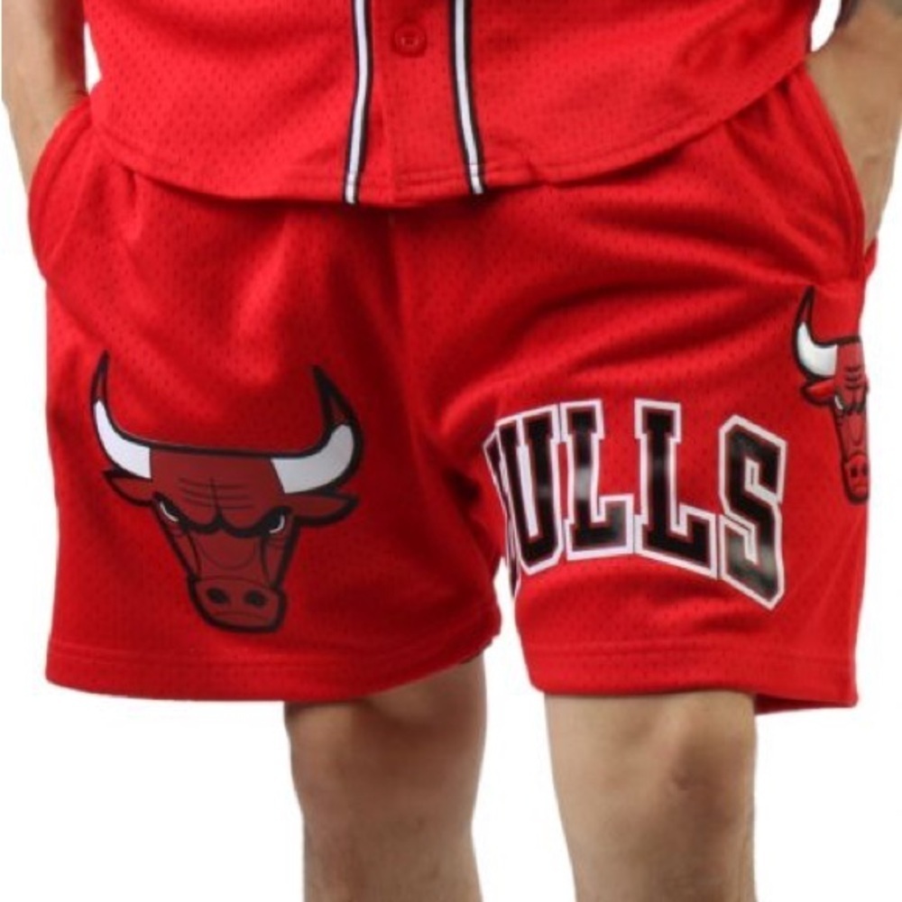 Chicago Bulls Pro Standard Mesh Capsule Shorts